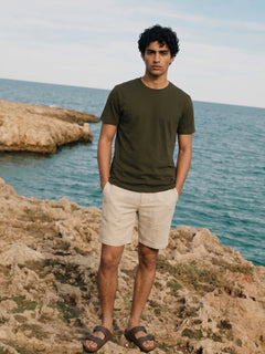 Men's Brown 100% Organic Cotton Regular Fit Tshirt