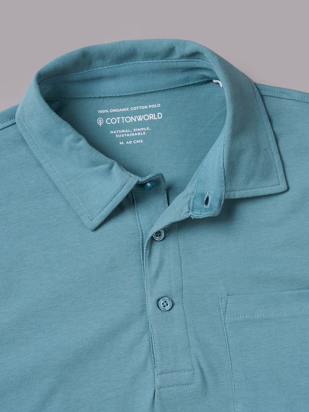 Men's Blue 100% Organic Cotton Regular Fit Tshirt
