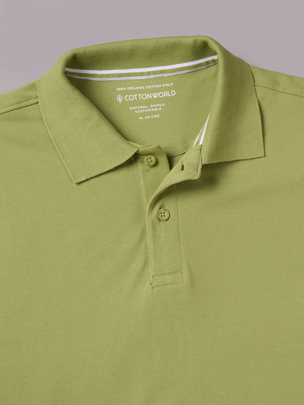 Men's Green 100% Organic Cotton Regular Fit Tshirt