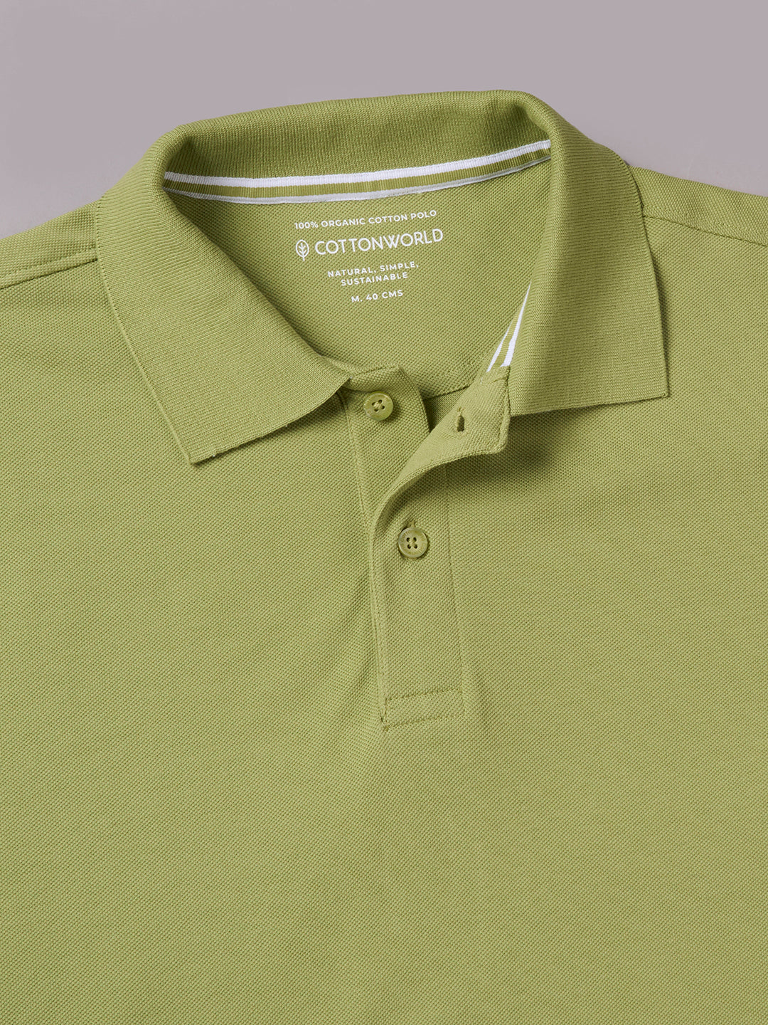 Men's Green 100% Organic Cotton Regular Fit Tshirt