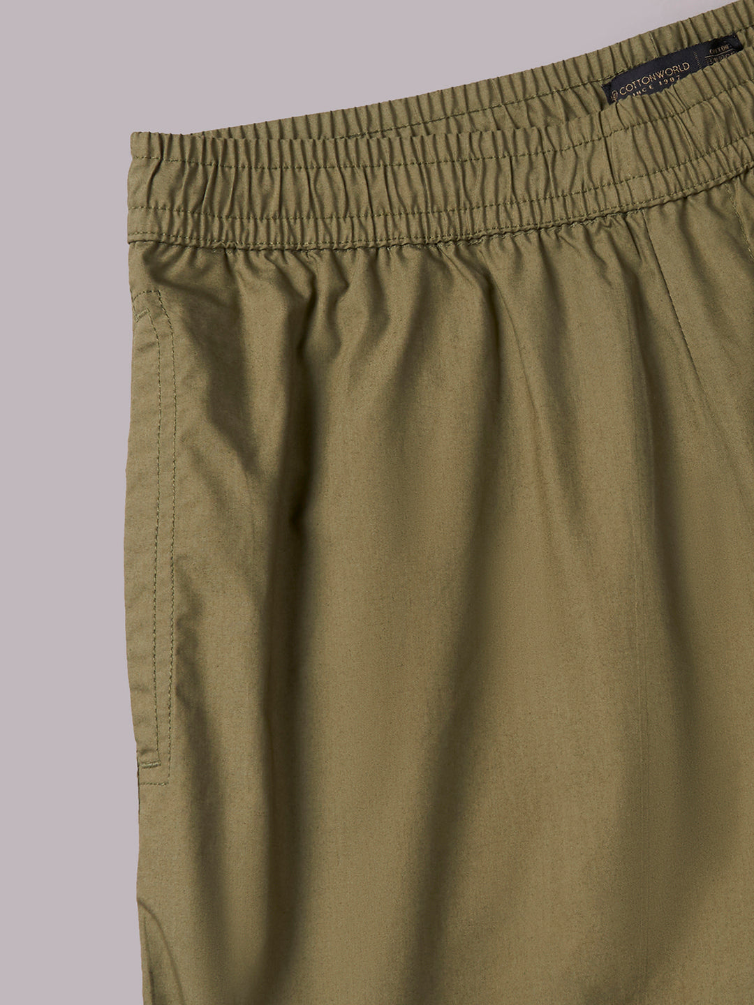 Men's Olive 100% Cotton Regular Fit Pant
