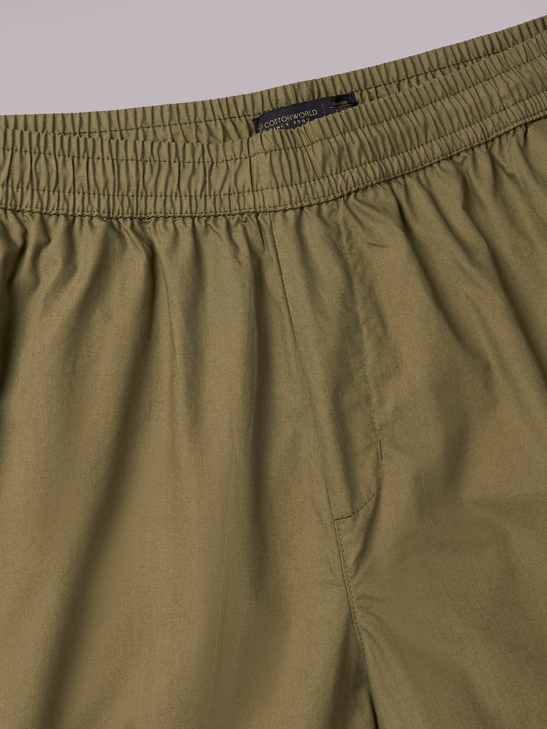 Men's Olive 100% Cotton Regular Fit Pant