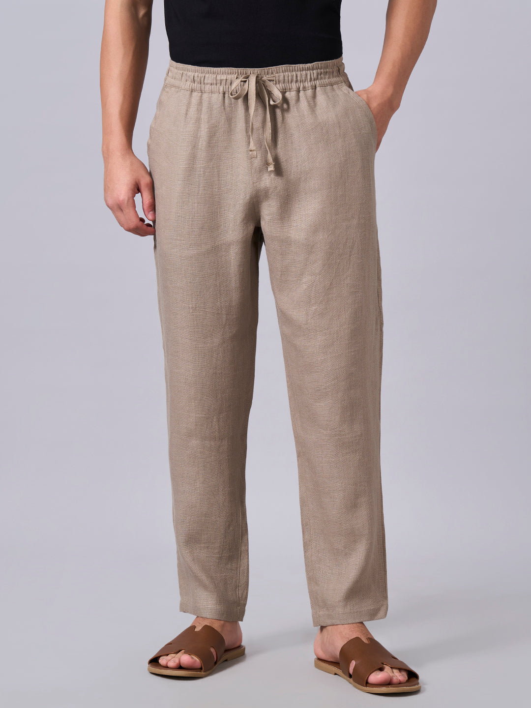 Men's Avenue 100% Linen Regular Fit Pant