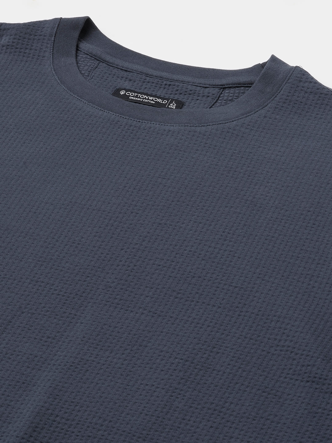 Men's Blue Cotton Elastane Regular Fit Tshirt
