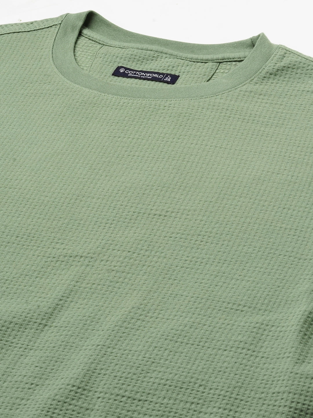 Men's Green Cotton Elastane Regular Fit Tshirt
