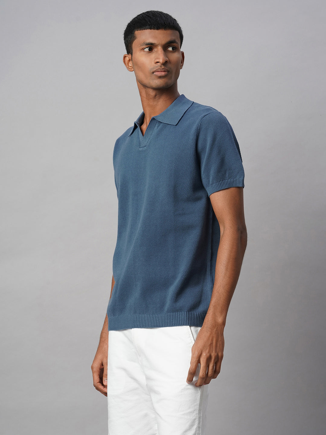 Men's Blue 100% Cotton Regular Fit Tshirt